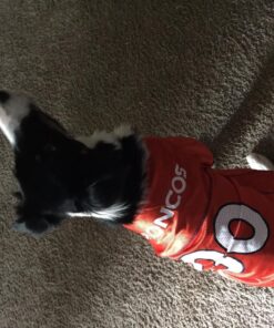 NFL Denver Broncos Dog Jersey, Size: X-Large. Best Football Jersey Costume for Dogs & Cats. Licensed Jersey Shirt 29 81NG3pRdT3L