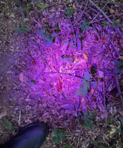 Primos Hunting Bloodhunter HD, Advanced Shadow Free Blood Tracking Light for Night Hunting 29 81NHrbre9XL