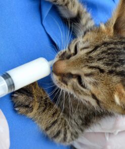 Frienda Large Plastic Syringe 4 Pack Measuring Syringe Tools Dispensing Multiple Uses(20 ml) 20 ml 27 81NItc1oXNL