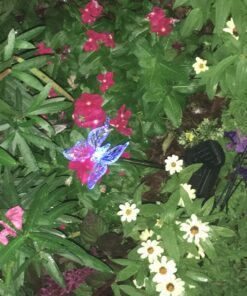 Solar Garden Lights - 3 Pack Solar Stake Light, Color Changing Solar Powered Decorative Landscape Lighting Hummingbird Butterfly Dragonfly for Outdoor Path, Yard, Lawn, Lawn, Halloween, Christmas 41 81NJR89H9TL