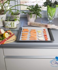 Chuzy Chef Set of 9 Dehydrator Sheets - Baking Mat Teflon Dehydrator Sheet - 14'' X 14'' Food Dehydrator Tray Liners Non Stick Sheets Baking Mat Food Dryer Sheet For Excalibur 17 81NKc2S3ZVL