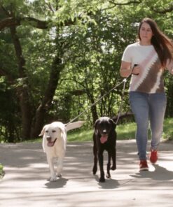 Dual Dog Leash - Double Dog Leash for Two Dogs - Tangle Free - Heavy Duty Double Ended Tandem Leash with Padded Handle for Small Medium or Large Dogs Black 26 81NLrz7gLnL