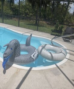 GoFloats Dragon Party Tube Inflatable Rafts - Choose From Fire Dragon and Ice Dragon, Pool Floats for Adults and Kids Ice Dragon Party Tube 29 81NMXnFkN7L