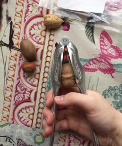 Magic Nutcracker Tool Works in Seconds. No Mess. Works on Walnuts, Almonds, Pecans, Hazelnuts. Great to Use As a Lemon Lime Squeezer. 47 81NQJnJ fRL