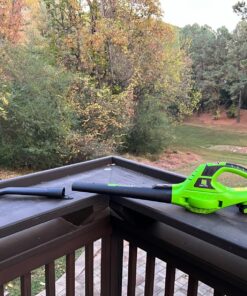 Leisch Life Cordless Leaf Blower Battery Operated,20V Handheld Electric Leaf Blower w/2.0Ah Battery & Fast Charger, 2 Speed Mode, Lightweight Battery Powered Blowers for Patio, Blowing Leaves and Snow Green 30 81NSbqu7mVL 1