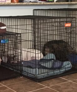 Dog Crates for Extra Large Dogs - XXL Dog Crate 48" Pet Cage Double-Door Best for Big Pets - Wire Metal Kennel Cage & Tray - in-Door Foldable & Portable for Animal Out-Door Travel 48.0"L x 29.0"W x 32.0"H 34 81NSxQr9BUL