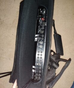 Gator Cases Padded Nylon Carry Tote Bag for Transporting LCD Screens, Monitors and TVs Between 19" - 24" (G-LCD-TOTE-SM) 19-24" Screens 34 81NVg3zBXJL