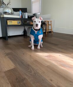 Kurgo Loft Dog Jacket, Reversible Dog Coat, Wear with Harness or Sweater, Water Resistant, Reflective, Winter Coat For Large Dogs (Coastal Blue, L) Coastal Blue/Orange 34 81NWwyr6xWL