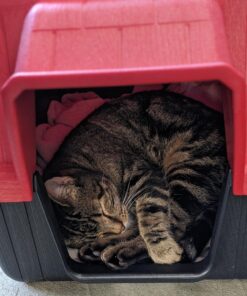 K&H Pet Products Self-Warming Crate Pad, Warming Dog Crate Bed, Machine Washable Dog Crate Mat, Gray X-Small 14 X 22 Inches 22.0"L x 14.0"W x 1.0"Th 41 81NY9TO0qzL 1