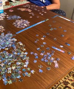 Buffalo Games - Darrell Bush - Coastal Twilight - 1000 Piece Jigsaw Puzzle 40 81NadfwnWfL