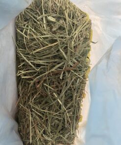 Kaytee Wafer Cut All Natural Timothy Hay for Pet Guinea Pigs, Rabbits & Other Small Animals, 60 Ounce 31 81NdtaP9FPL 1