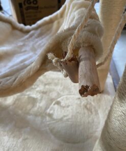 Go Pet Club Classic Cat Tree, Faux Fur Finish, Sisal Rope Scratcher, 62"H, Beige 52 81Nf0hH3ynL