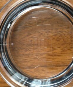 YETI Rambler Vacuum Insulated Tumbler with Lid Stainless Steel 20 Oz. 34 81NfAeDYaWL