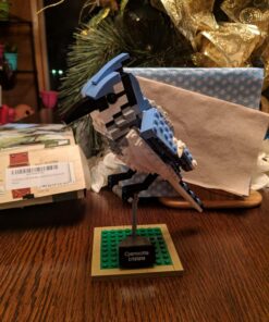 LEGO Ideas 21301 Birds Model Kit 40 81NfxQ9hPGL