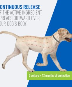 Adams Flea & Tick Collar for Dogs & Puppies |2 Pack |12 Months Protection |Adjustable One Size Collar Fits All Dogs 12 Weeks & Older |Kills Fleas & Ticks |Repels Mosquitoes (excluding California) 19 81NhkNIaMNL