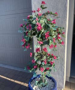 Nearly Natural 5228 Mini Bougainvillea Topiary Beauty, 5-Feet,9" x 9" x 62.5" , Green Plant 29 81NiW5WUvIL