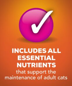 Purina Friskies Pate - (24) 5.5 oz. Cans 5.50 Ounce (Pack of 24) Chicken & Tuna Dinner 19 81NjcbOM7CL