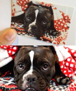 HP Sprocket Portable Color Photo Printer, Print Social Media Photos on 2x3" Sticky-Backed Paper - Black (X7N08A) 65 81NlDopm7L