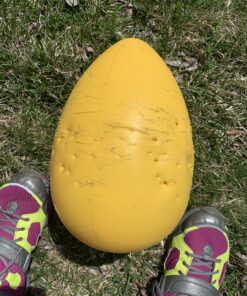 Jolly Pets Jolly Egg Dog Toy, 12 Inches/Large, Yellow Large (12 in) 37 81NldNYcHL