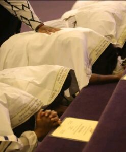 Holy Land Market New Covenant Messianic Prayer Shawl Tallit 72" X 22" with Bag, Card and Brochure From Israel 25 81NnAY FWcL