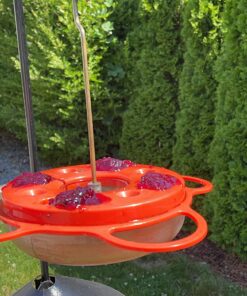 Songbird Essentials Bird Berry Jelly 20 Oz Purple 17 81NpxfTflWL