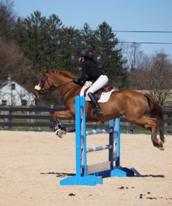 OM SYSTEM OLYMPUS M.Zuiko Digital 40-150mm F4.0-5.6 R Black For Micro Four Thirds System Camera, 3.75x Zoom Lens, Portable Design Standard Packaging 89 81Nuc46nyL