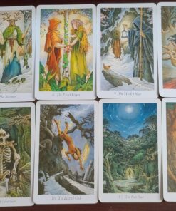 The Wildwood Tarot Deck: Wherein Wisdom Resides (Modern Tarot Library) 56 81NxgGV6bbL