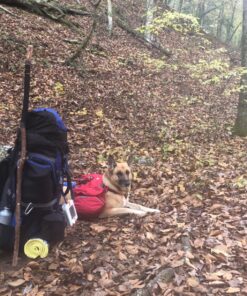 LuminAID PackLite Max 2-in-1 Camping Lantern and Phone Charger | For Backpacking, Emergency Kits and Travel | As Seen on Shark Tank Max White 150 Lumens 38 81Nz1MBHt2L