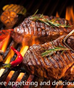 Hisencn Porcelain Cast Iron Cooking Grates Replacement for Chargriller Duo 5050, 3001, 5650, 3008, 3030, 3725, 4000, 2121, King Griller 3008 5252, Gas Grill Models Set of 4 Grill Grids For Char-Griller 2121 17 81NzjOQRzML