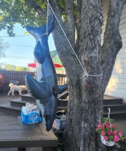 Intex Great White Shark Ride-On, 68" X 42", for Ages 3+ 39 81O03JiveHL