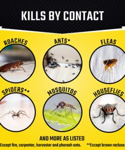 Black Flag Indoor Fogger, Pack of 6 1 Pack 22 81O0rPNhaQL