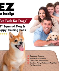 EZwhelp Reusable Dog Pee Pads - Waterproof Training Pads for Dogs - Washable & Sanitary-Rounded Corners-Laminated, Lightweight, Durable - Pet Essentials for Puppy Training and Whelping - 27"x32" 27x32 Inch 23 81O2Ut4tqL