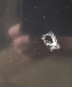 Whynter CUF-301BK 3 cu. ft Energy Star Upright Freezer with Lock – Black Black -3 Cubic Feet 45 81O2VxItVVL