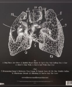 Lungs Lungs 15 81O3A3U3mjL