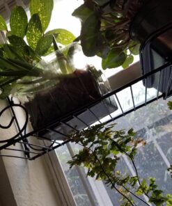 Expandable Scroll Metal 1 shelve,Over The Sink Shelf - Black 36 81O4ECp0weL