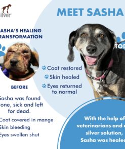 PetSilver Wound & Skin Spray with Chelated Silver, Allergy Relief for Dogs Itching, Hot Spot Treatment for Dogs, Cat and Dog Wound Care, All Natural Skin Soother for Dogs, Made in USA, 8 fl oz 8 oz 14 81O5EJvgUL