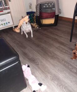 SHARLOVY Dog Squeaky Toys No Stuffing 6 Pack Dog Toys Crinkle Dog Toys for Small Dogs Durable Dog Chew Toys Plush Cute Animals Natural Puppy Toys for Teething Pet Toys Squeak 26 81O5WcE8yoL