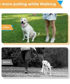 Pettom Dog Prong Collar Training Chain Collar Pet Choke Pinch Training Collar Adjustable for Pitbulls (S 22.6inch) S 18.3inch 15 81O5zROZGL