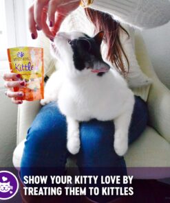 Wellness Kittles Crunchy Natural Grain Free Cat Treats, Salmon & Cranberry, 2-Ounce Bag 2 Ounce (Pack of 1) 25 81O69J243NL 1