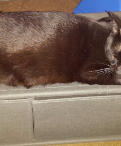 Whitmor Closet Shelves and Drawers - Multipurpose Portable Closet Organization Solution 36 81O9sPEZTyL