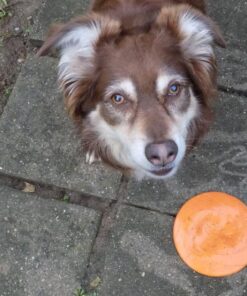 Nikon Coolpix L340 20.2 MP Digital Camera with 28x Optical Zoom and 3.0-Inch LCD (Black) Base 81 81O9xHztFuL