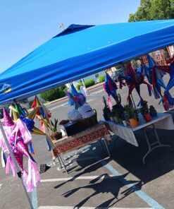 Crown Shades 10x10 Pop up Canopy Outside Canopy, Patented One Push Tent Canopy with Wheeled Carry Bag, Bonus 8 Stakes and 4 Ropes, Blue 72 81OBF1VgzL