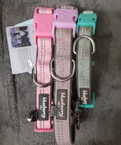 Blueberry Pet Soft & Safe 3M Reflective Neoprene Padded Adjustable Dog Collar - Baby Blue Pastel Color, Medium, Neck 14.5"-20" 66 81OBe9fbnbL 2