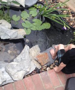 TetraPond Submersible Flat Box Filter, For 250 To 500 Gallon Ponds 45 81OMOtNONlL