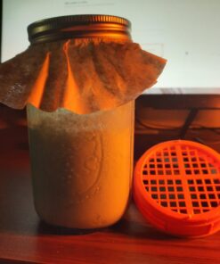 Kefir Grains - Living Probiotic Enriched "As seen on TV" 13 81OQAapoYKL