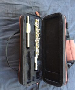 Eastar Piccolo Instrument for Beginners Students, Key of C Piccolo Flute, with Hard Case Cleaning Rod, Cloth, Swab and Gloves, 2-Piece, Silver Plated Piccolo, EPC-2S 24 81OS2BFKtXL