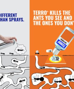 TERRO Liquid Ant Killer ll T200, 2 oz 30 81OTWnWmjnL