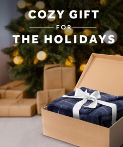 Sunbeam Royal Ultra Rodeen Blue Plaid Heated Personal Throw / Blanket, Cozy-Warm, Adjustable Heat Settings 25 81OUTSL9KFL