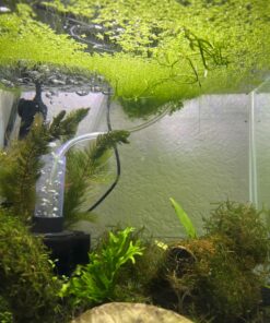 Alternative view of Thrive S Shrimp Specific All in One Aquarium Fertilizer – 500ml Liquid Plant Food – Comprehensive nutrients – Aquarium Nutrition – Convenient to Use – Concentrated Aquarium Plant Fertilizer 1 Pack