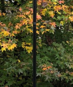 TIKI Brand Island King Outdoor TIKI Torch for Backyard, Patio and Garden, Metal Brown - 65 Inch, 1120129 Gun Metal 41 81OV9NUiGL